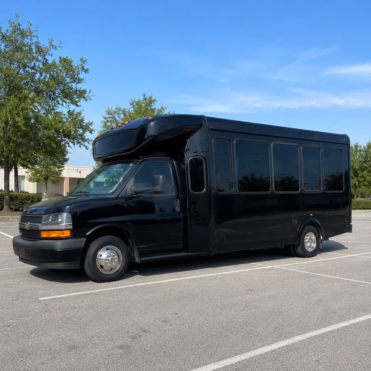 15 Passenger Party Bus