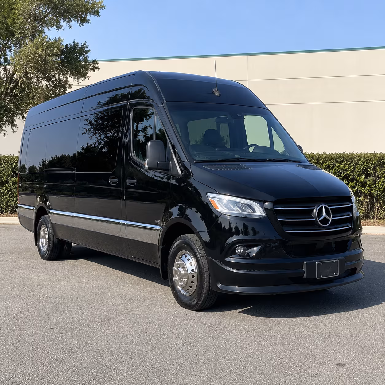 14 Passenger Sprinter Limo