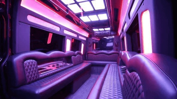 Interior of Charter Bus Company Taylorsville's 18 Passenger Party Bus in Taylorsville