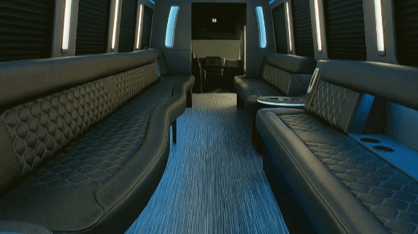 20 passenger party bus interior