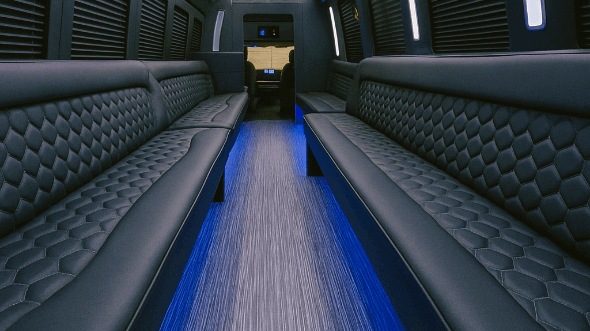 25 passenger party bus interior