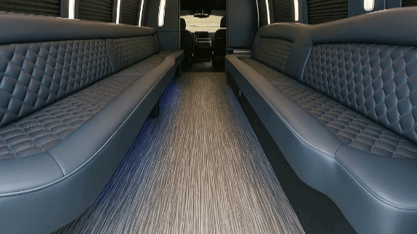 murray 20 passenger party bus